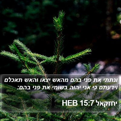 יחזקאל 15:7 HEB Bible Verse Image