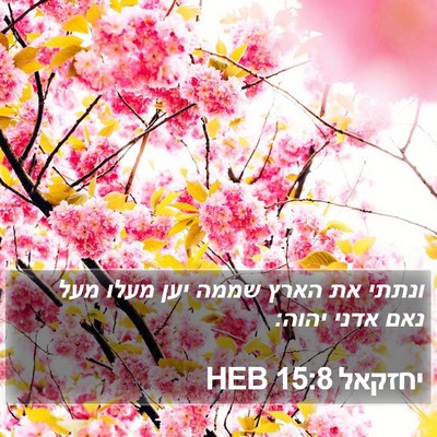 יחזקאל 15:8 HEB Bible Verse Image