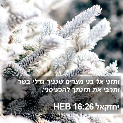 יחזקאל 16:26 HEB Bible Verse Image