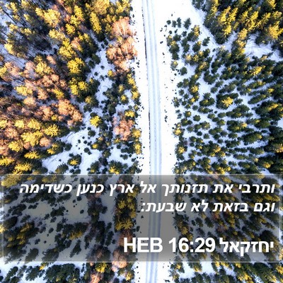 יחזקאל 16:29 HEB Bible Verse Image