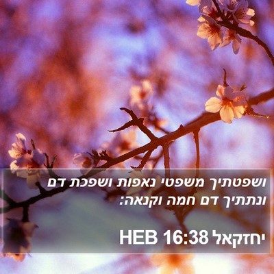 יחזקאל 16:38 HEB Bible Verse Image