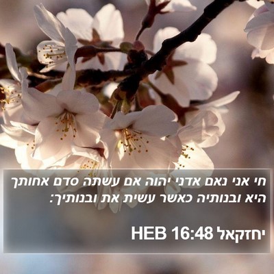 יחזקאל 16:48 HEB Bible Verse Image