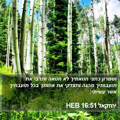 יחזקאל 16:51 HEB Bible Verse Image