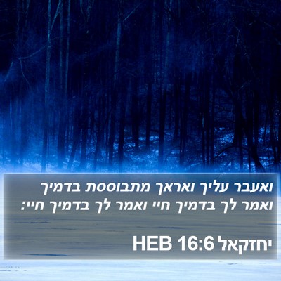 יחזקאל 16:6 HEB Bible Verse Image