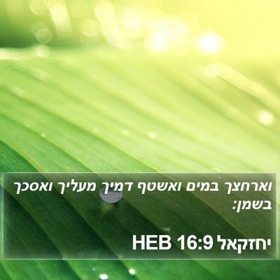 יחזקאל 16:9 HEB Bible Verse Image