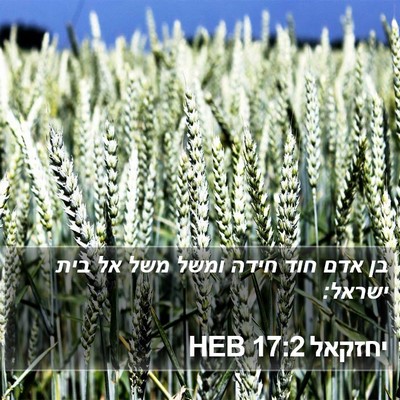 יחזקאל 17:2 HEB Bible Verse Image