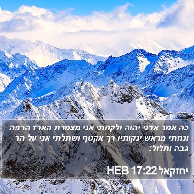 יחזקאל 17:22 HEB Bible Verse Image