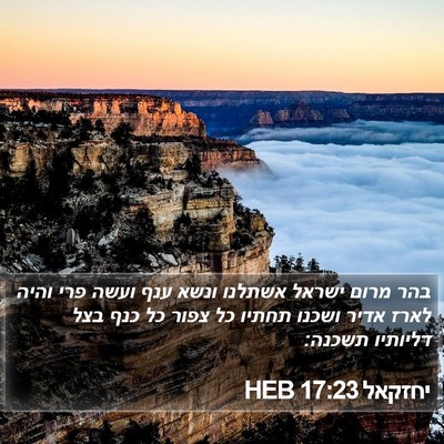 יחזקאל 17:23 HEB Bible Verse Image