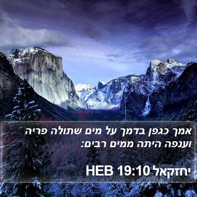 יחזקאל 19:10 HEB Bible Verse Image