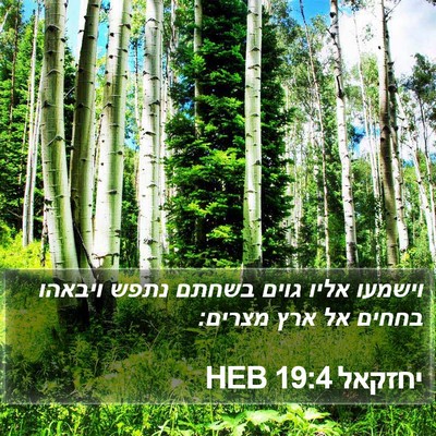 יחזקאל 19:4 HEB Bible Verse Image