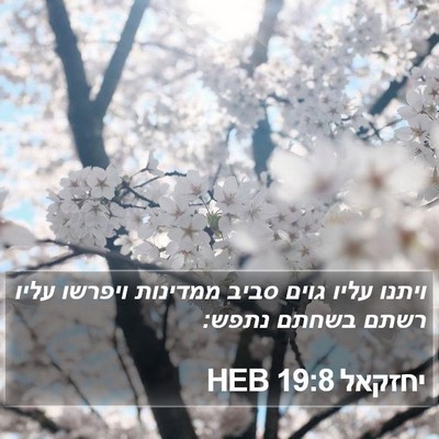 יחזקאל 19:8 HEB Bible Verse Image