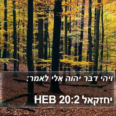 יחזקאל 20:2 HEB Bible Verse Image
