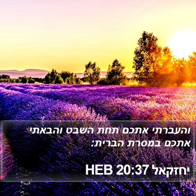 יחזקאל 20:37 HEB Bible Verse Image