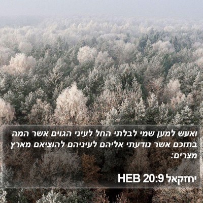יחזקאל 20:9 HEB Bible Verse Image