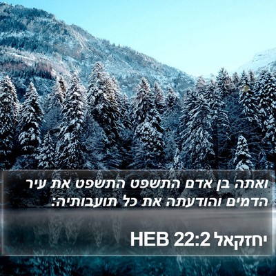 יחזקאל 22:2 HEB Bible Verse Image