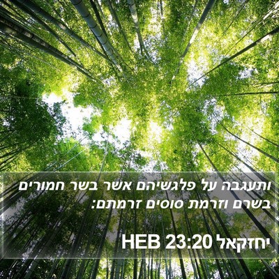 יחזקאל 23:20 HEB Bible Verse Image