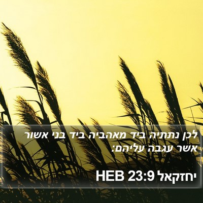 יחזקאל 23:9 HEB Bible Verse Image