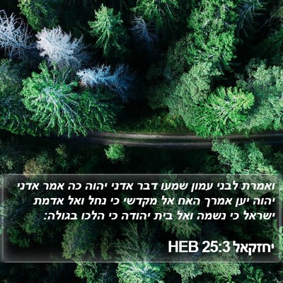 יחזקאל 25:3 HEB Bible Verse Image