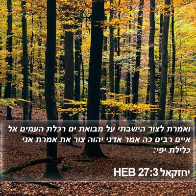 יחזקאל 27:3 HEB Bible Verse Image