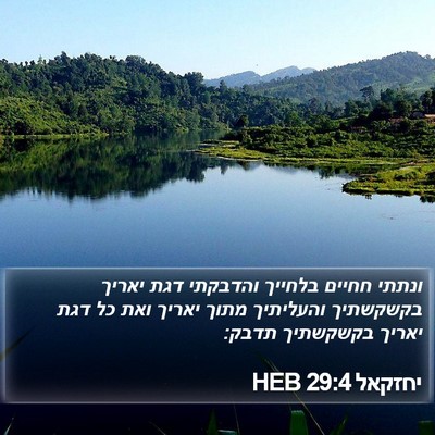 יחזקאל 29:4 HEB Bible Verse Image