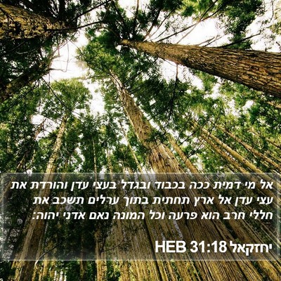 יחזקאל 31:18 HEB Bible Verse Image