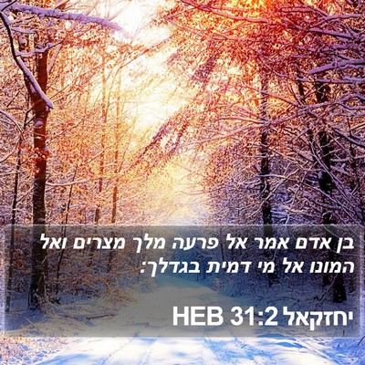 יחזקאל 31:2 HEB Bible Verse Image