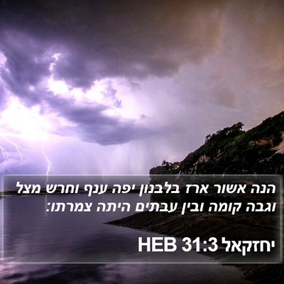 יחזקאל 31:3 HEB Bible Verse Image