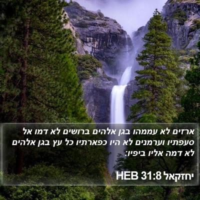 יחזקאל 31:8 HEB Bible Verse Image