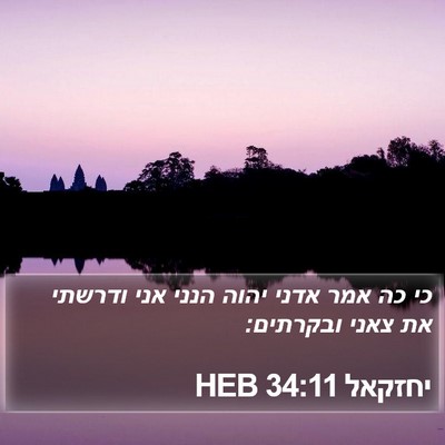 יחזקאל 34:11 HEB Bible Verse Image