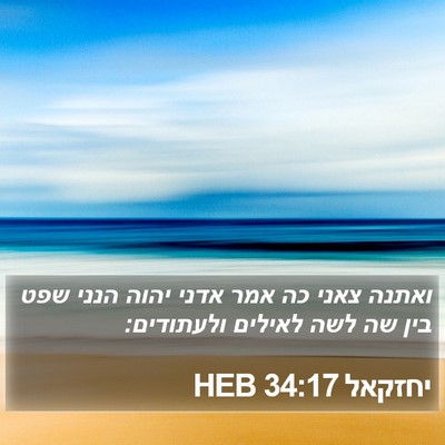 יחזקאל 34:17 HEB Bible Verse Image
