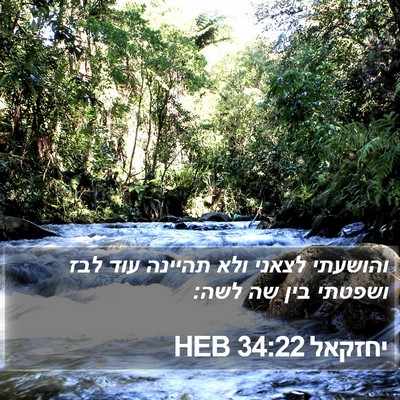 יחזקאל 34:22 HEB Bible Verse Image