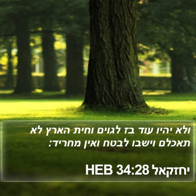יחזקאל 34:28 HEB Bible Verse Image