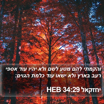 יחזקאל 34:29 HEB Bible Verse Image