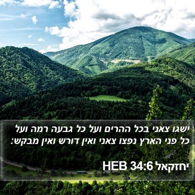 יחזקאל 34:6 HEB Bible Verse Image