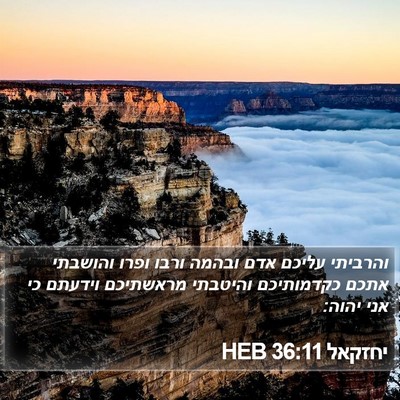 יחזקאל 36:11 HEB Bible Verse Image