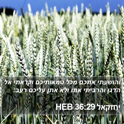 יחזקאל 36:29 HEB Bible Verse Image