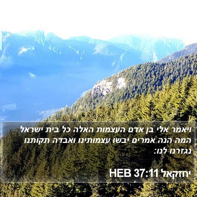 יחזקאל 37:11 HEB Bible Verse Image