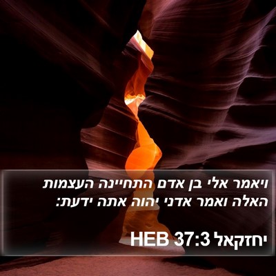 יחזקאל 37:3 HEB Bible Verse Image