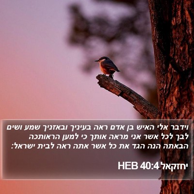 יחזקאל 40:4 HEB Bible Verse Image