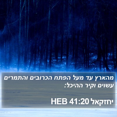 יחזקאל 41:20 HEB Bible Verse Image