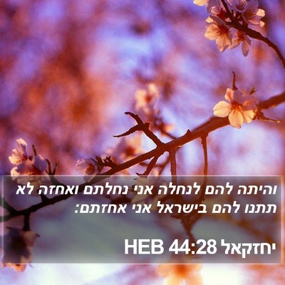 יחזקאל 44:28 HEB Bible Verse Image