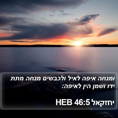 יחזקאל 46:5 HEB Bible Verse Image