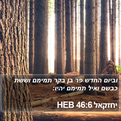 יחזקאל 46:6 HEB Bible Verse Image