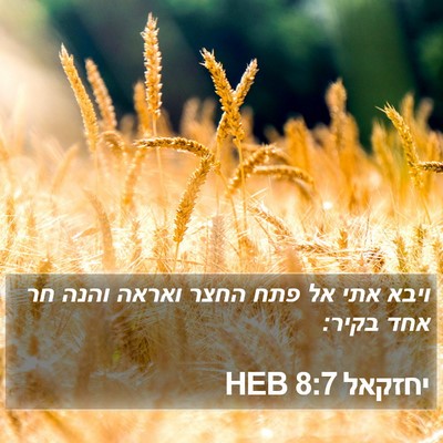 יחזקאל 8:7 HEB Bible Verse Image