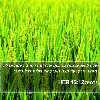 ירמיה 12:12 HEB Bible Verse Image