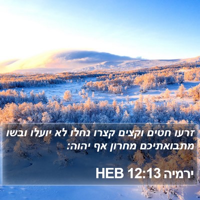 ירמיה 12:13 HEB Bible Verse Image