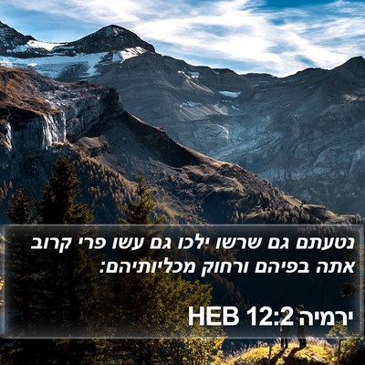 ירמיה 12:2 HEB Bible Verse Image