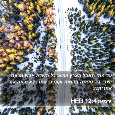 ירמיה 12:4 HEB Bible Verse Image