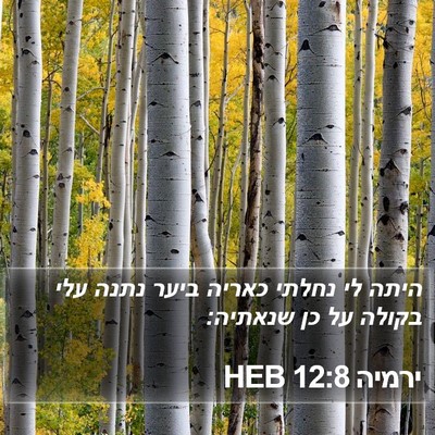 ירמיה 12:8 HEB Bible Verse Image