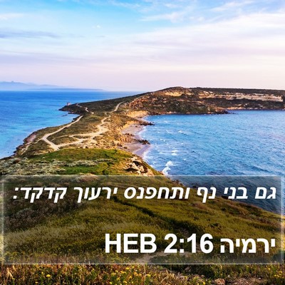 ירמיה 2:16 HEB Bible Verse Image